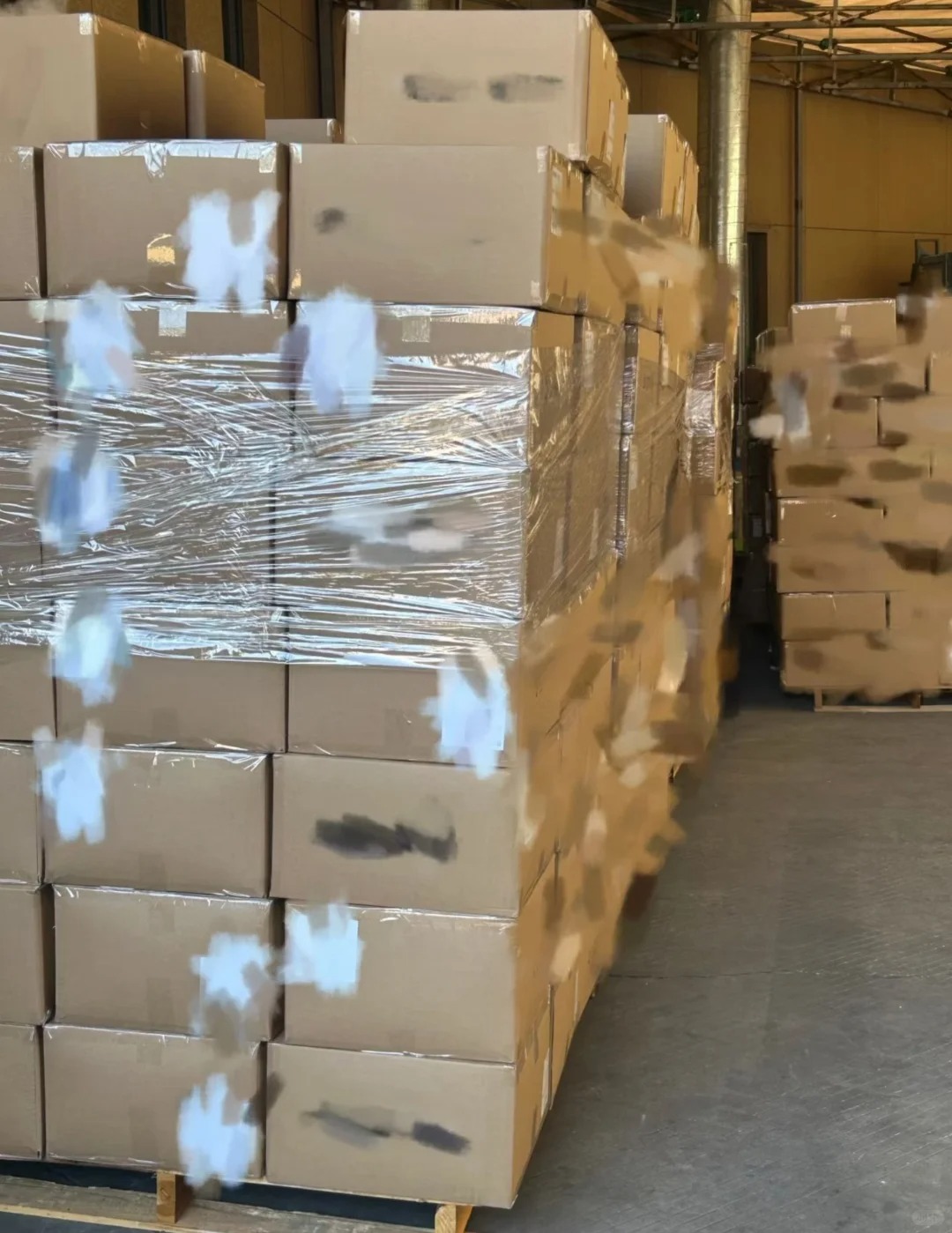 Final 2 Loading Before Chinese New Year 2026